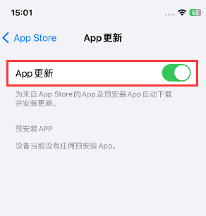 道县苹果15维修中心如何让iPhone15APP自动更新